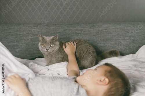 Boy child and domestic gray cat lie on white bed. Love Pet. Image for veterinary clinics. World Cat Day.