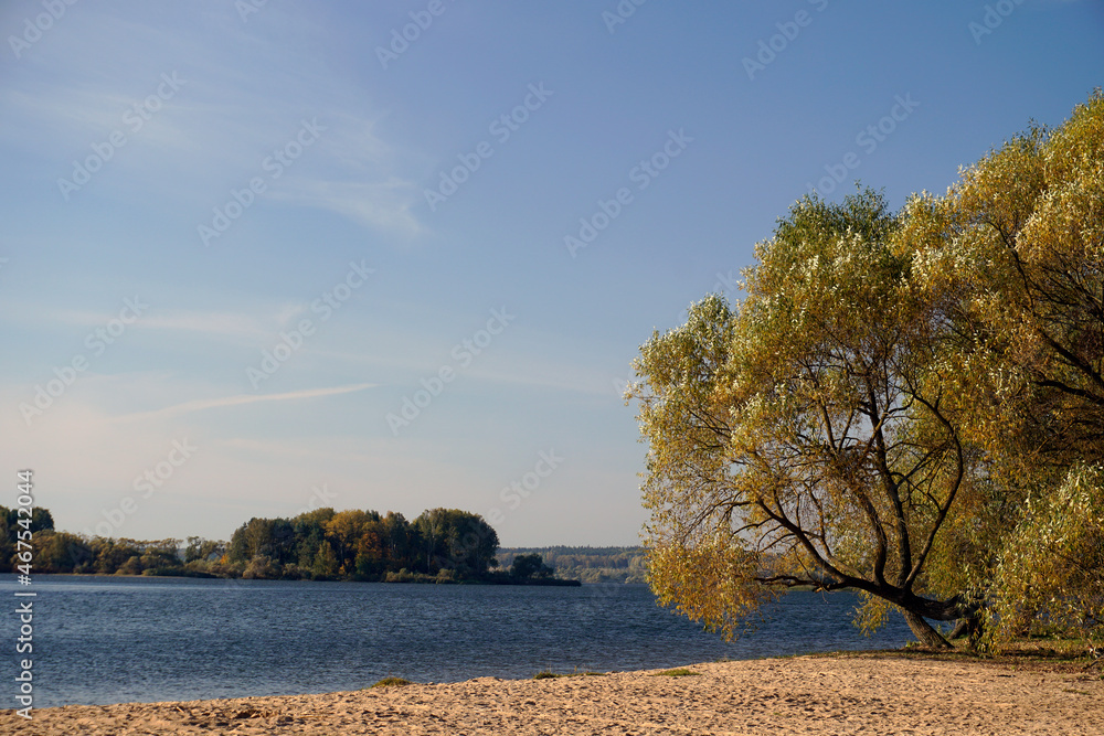 Golden autumn. Willows on the shore of the lake. Beautiful view. Prstory. Panorama. Hdri map 