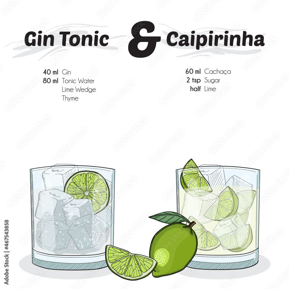 Hand Drawn Colorful Gin Tonic and Caipirinha Cocktail Drink Ingredients  Recipe Stock-Vektorgrafik | Adobe Stock