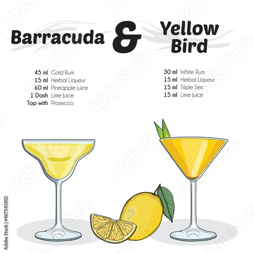 Hand Drawn Colorful Barracuda and Yellow Bird Cocktail Drink Ingredients Recipe