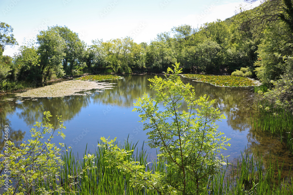 Forest mountain lake in the coniferous forest. Taiga, forest, pond.