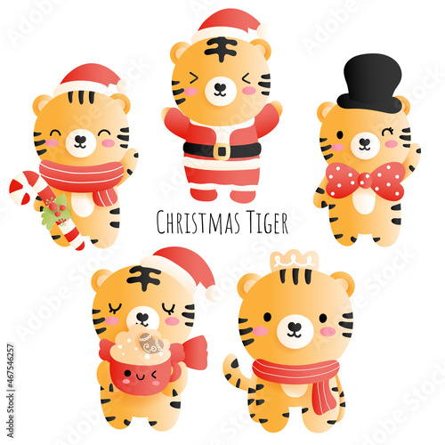 Christmas tiger, Year of the Tiger 2022