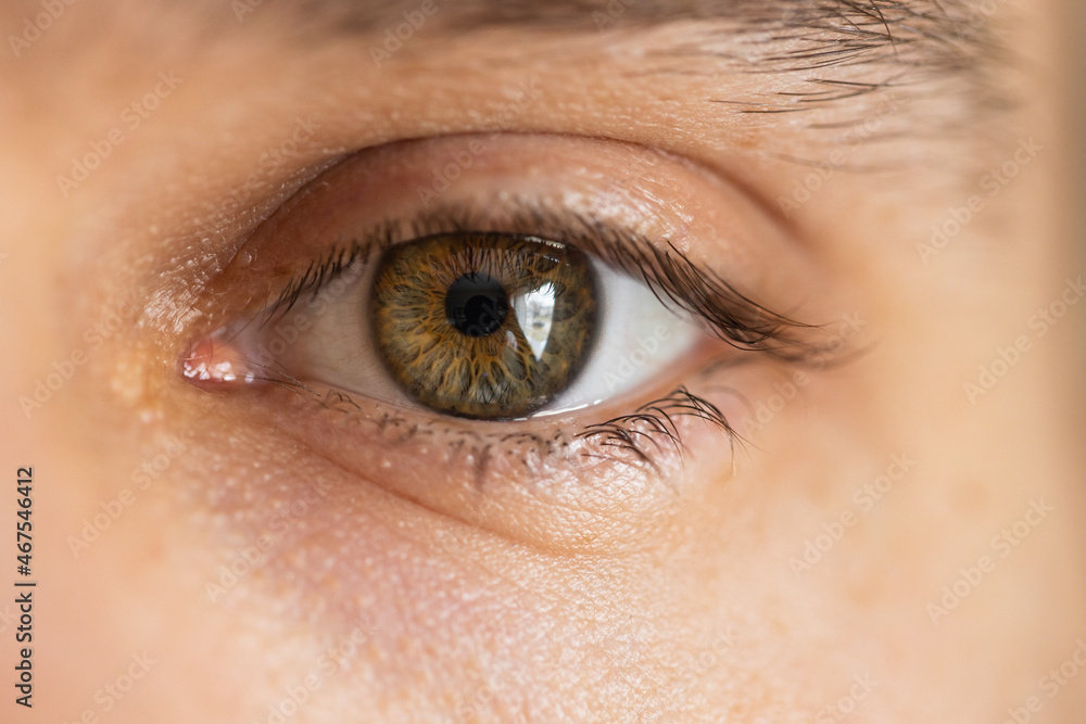 Close up of a persons hazel eye with long eyebrows and eyelashes. Close up of a persons hazel eye with long eyebrows and eyelashes.