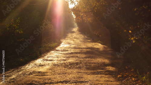 the road illuminated by the rays of the sun