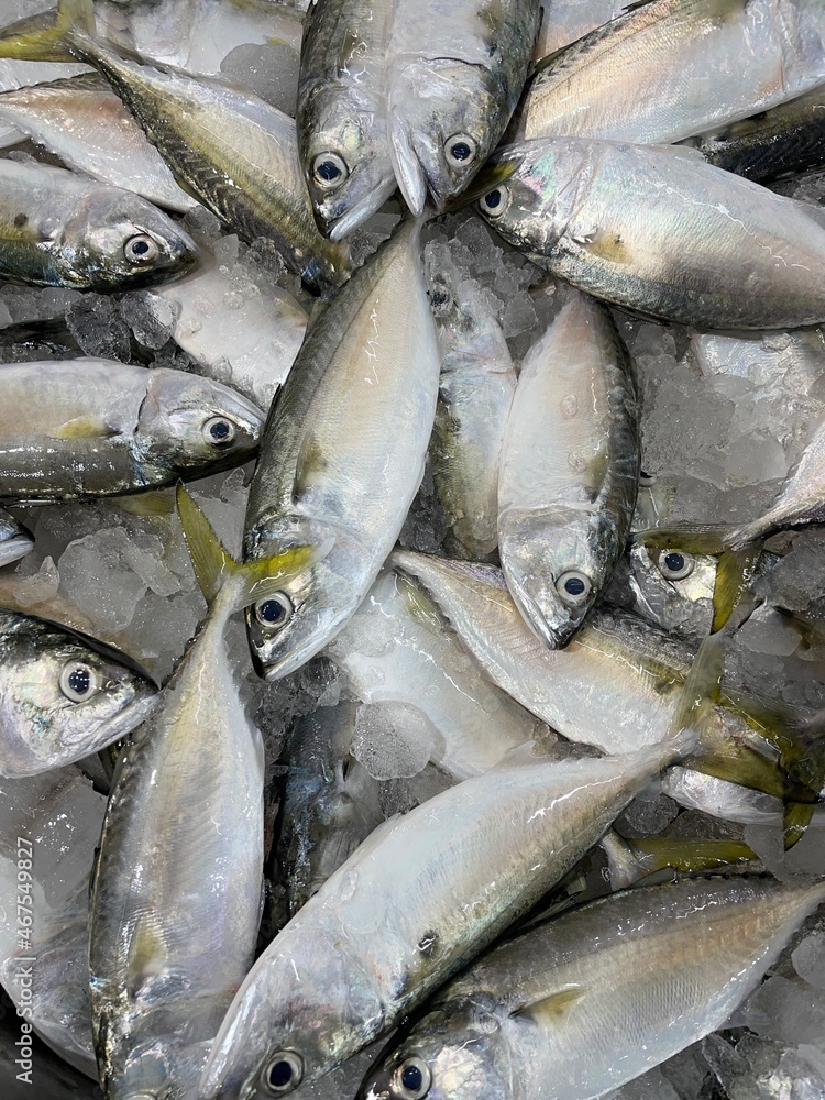 Obraz premium fresh fish on ice