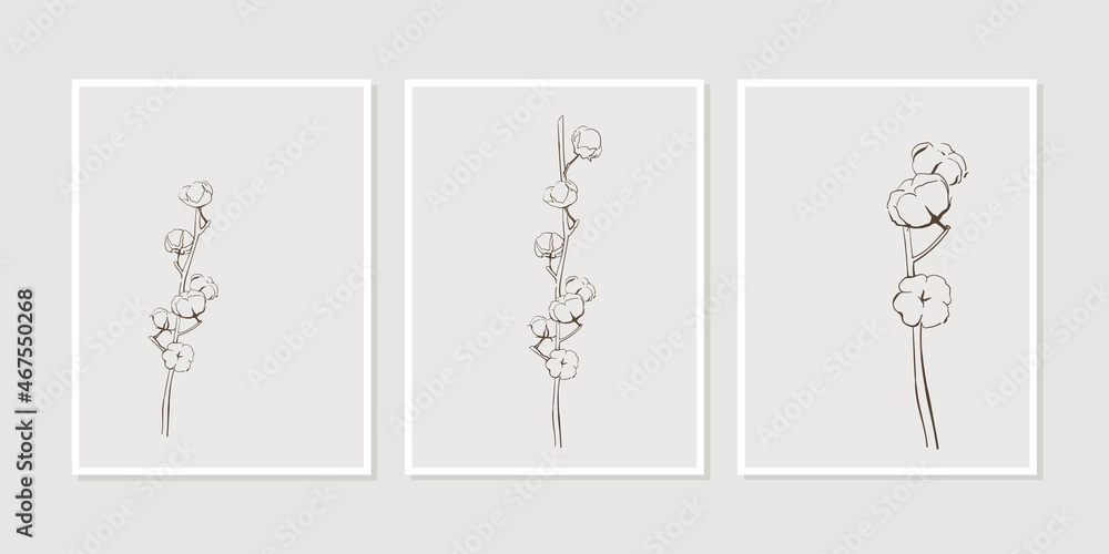 Set of minimalist botanical line art composition with cotton flowers. Abstract Plant Art design for print, cover, wallpaper, Minimal and natural wall art. Vector poster Set of minimalist botanical line art composition with cotton flowers. Abstract Plant Art design for print, cover, wallpaper, Minimal and natural wall art. Vector poster