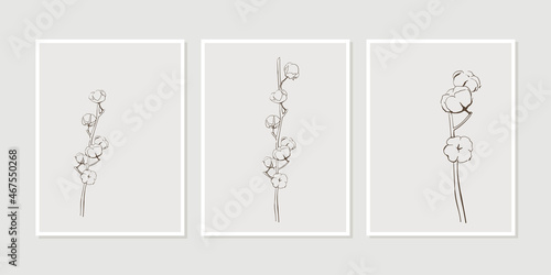 Set of minimalist botanical line art composition with cotton flowers. Abstract Plant Art design for print, cover, wallpaper, Minimal and natural wall art. Vector poster