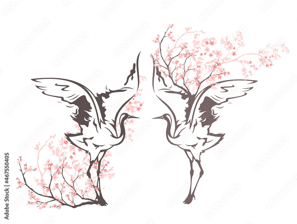 Fototapeta premium japanese crane standing among sakura blossom branches - elegant asian bird spring season vector design set