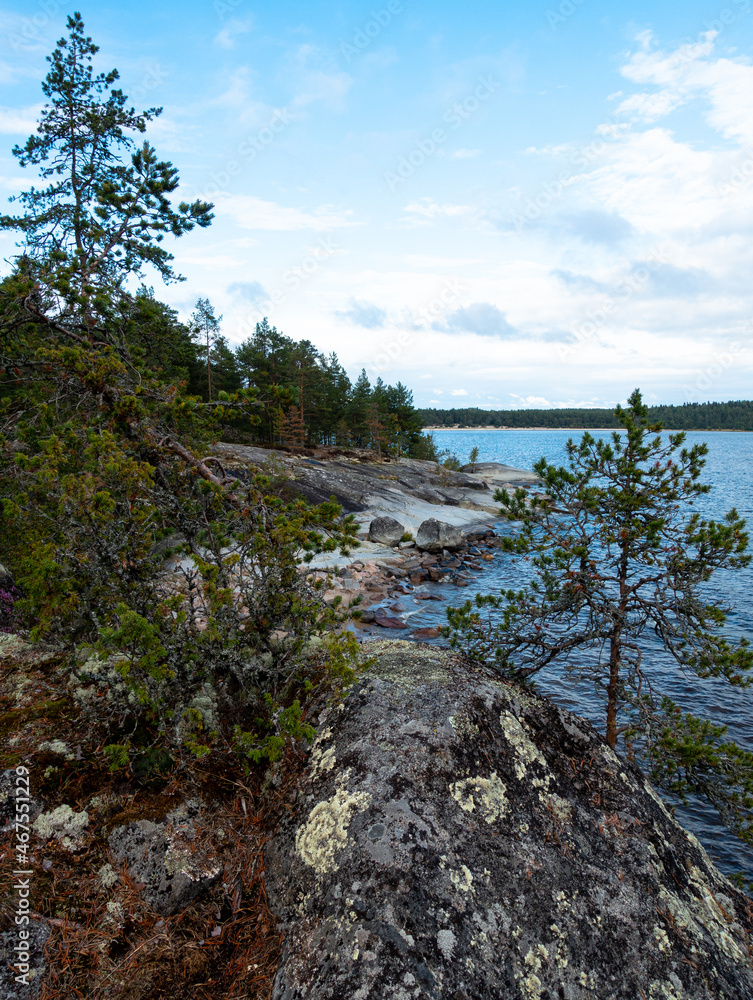 rocks with pine trees on the shore of the lake