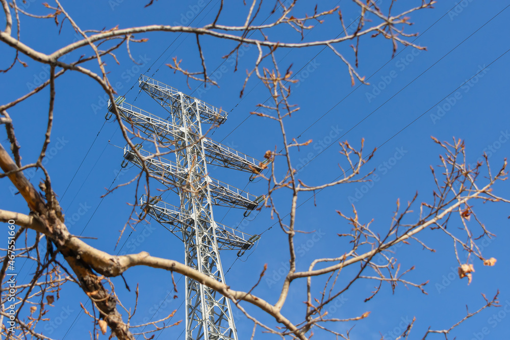 An electric tower that transmits energy, obscured by tree branches against a clear sky An electric tower that transmits energy, obscured by tree branches against a clear sky