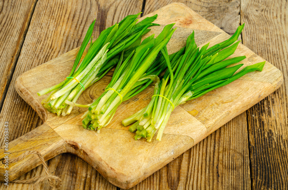 Green young shoots of Allium ursinum. Photo Green young shoots of Allium ursinum. Photo