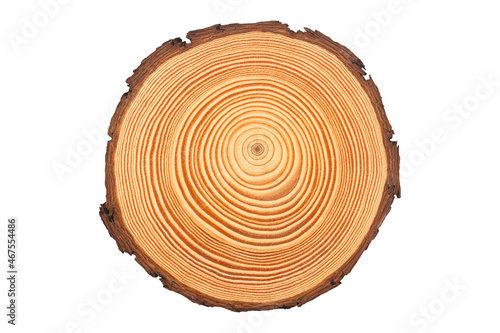 Obraz na płótnie wood slice circle with concentric rings