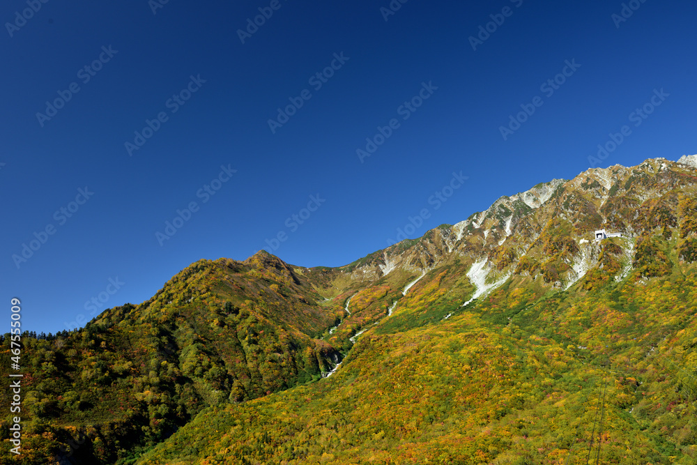 錦秋の立山黒部アルペンルート（タンボ平（黒部平＆大観峰）の絶景紅葉）