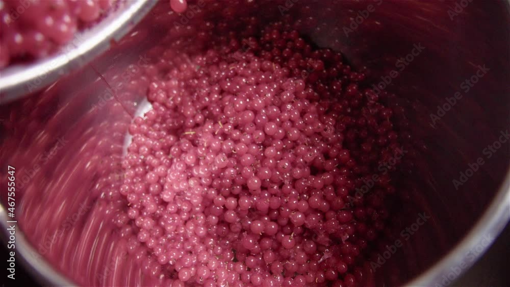 SLOW MOTION, redcurrants being shaken into a large pan SLOW MOTION, redcurrants being shaken into a large pan