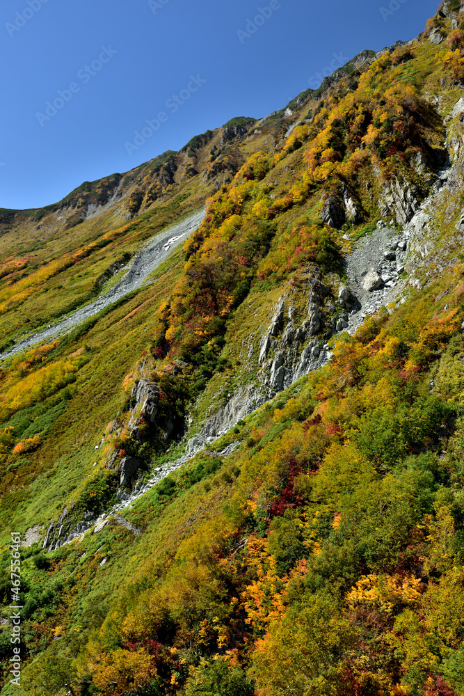 錦秋の立山黒部アルペンルート（タンボ平（黒部平＆大観峰）の絶景紅葉）