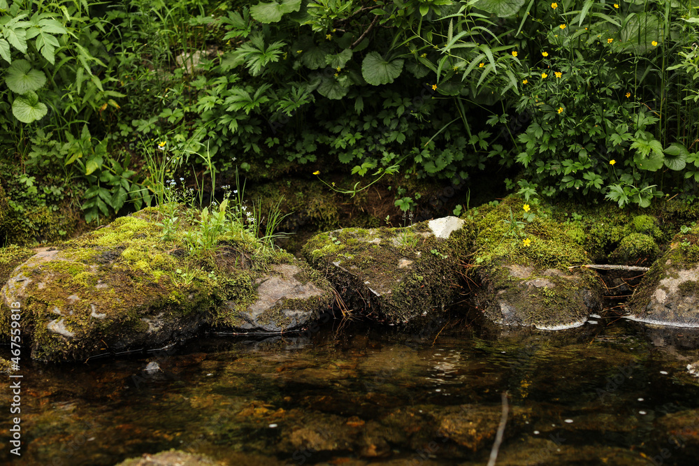 The rocky shore of a mountain river overgrown with small grass and with clear water The rocky shore of a mountain river overgrown with small grass and with clear water