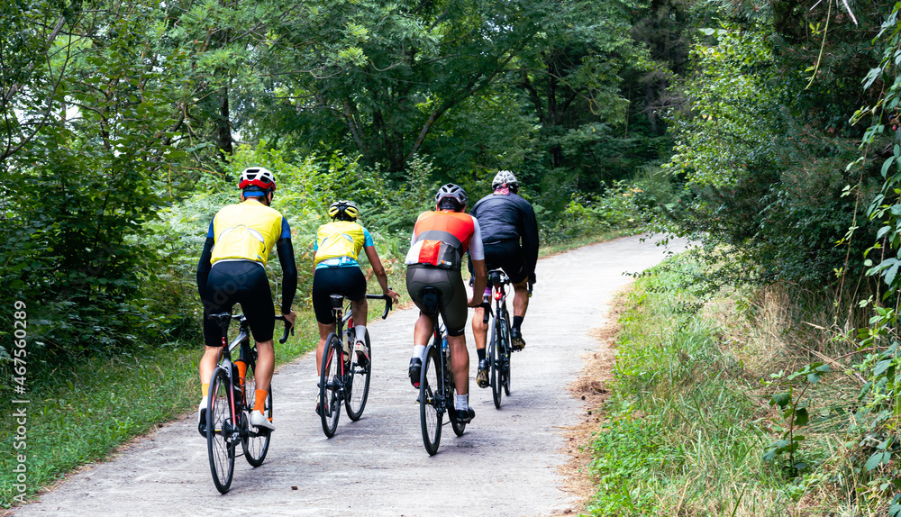 Naklejka premium Group of cyclists going up a mountain road.