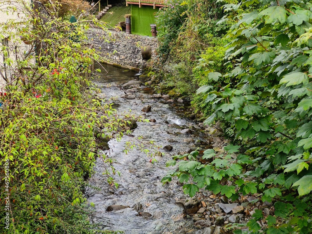 stream by a house stream by a house