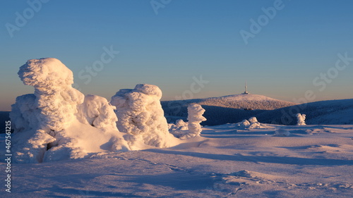 Snowed up trees enlightened by rising sun on a mountain ridge in winter. With Praded transmitter in the background.