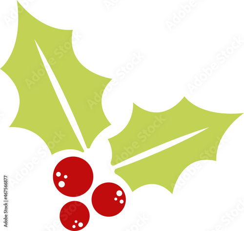Christmas mistletoe vector illustration isolated on white background