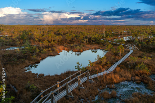 A magnificent view of the Kemeri bog peat bog lake with the reflection of the sky at sunset against the background of autumn trees and wooden paths.