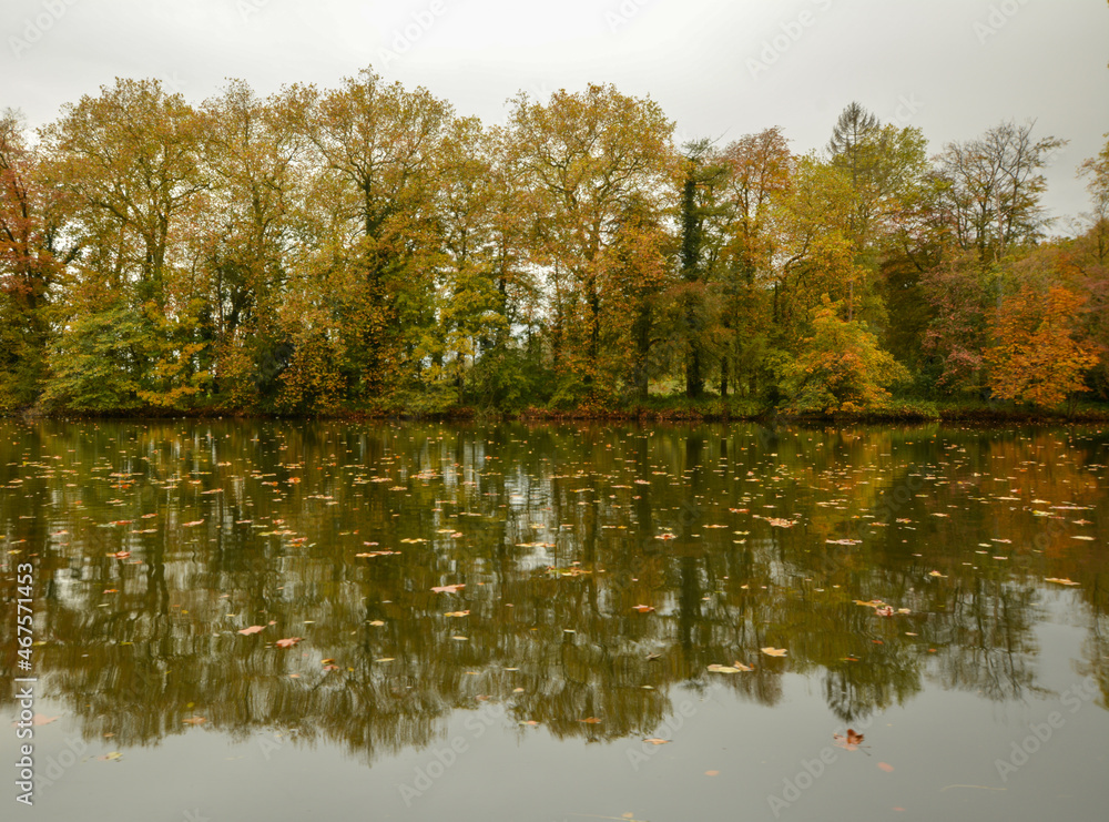 Beautiful close-up of Enghien park