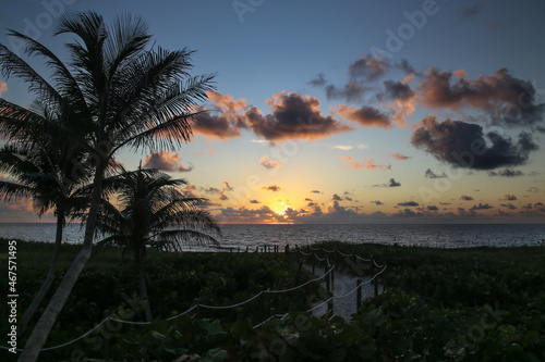 Cloudy sunrise over the Atlantic Ocean at the beach with path and palm trees.