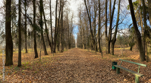 Panoramic view of the alleys in the Gorki Leninskiye Museum-Reserve in autumn photo