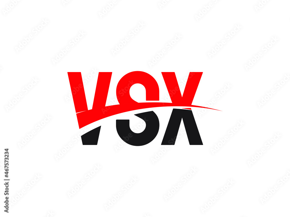 VSX Letter Initial Logo Design Vector Illustration