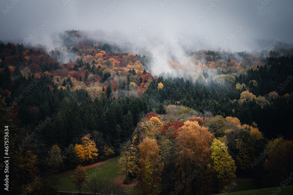 Herbstwald mit Nebel am Abend