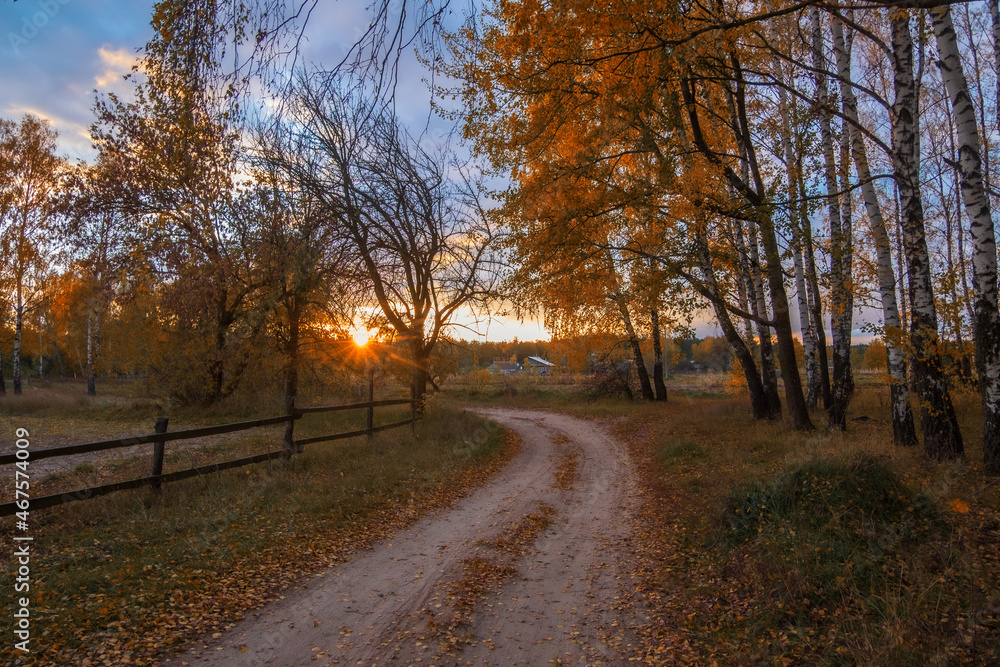 autumn in the park