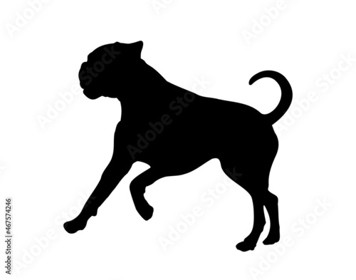 Black silhouette of a boxer dog
