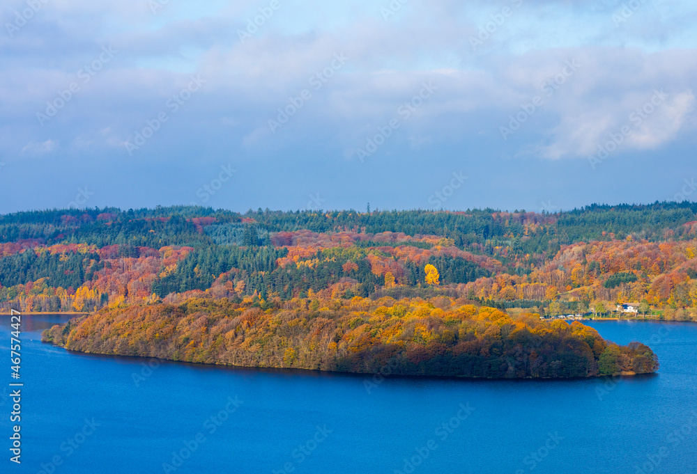 autumn landscape with lake - obrazy, fototapety, plakaty 