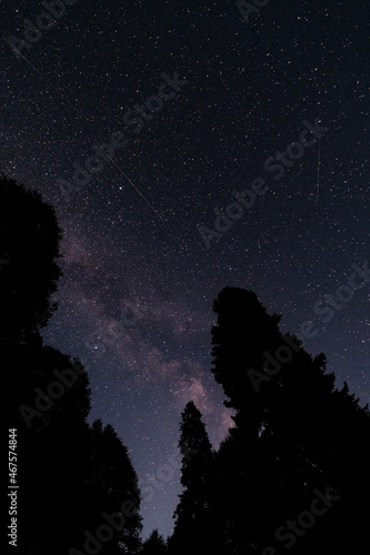 Starry Sky at Chugush National Park in Krasna Polyana, Sochi, Russia photo