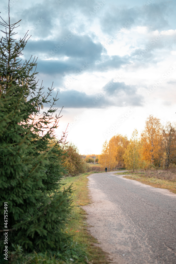 The road between autumn golden trees