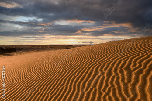 Sand dunes in the Wahiiba desert