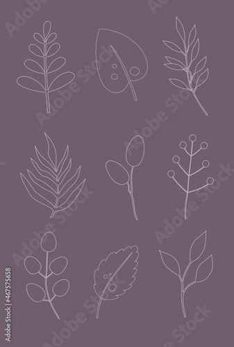 Vector set of floral elements in a trendy linear style.