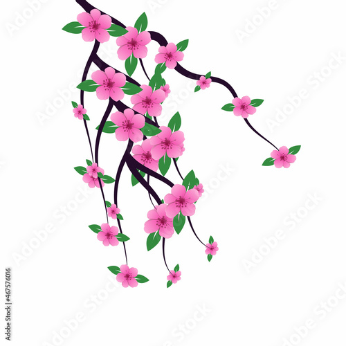 Sakura blossom branch. Falling petals  flowers. Isolated flying realistic Japanese pink cherry or apricot floral elements fall down vector background. Cherry blossom branch  flower illustration