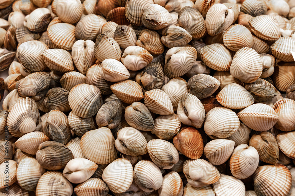 Raw clams named berdigones in a market