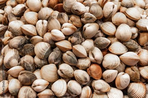 Raw clams named berdigones in a market