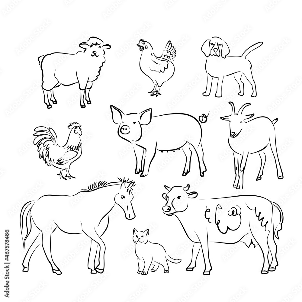 Hand-drawing farm animals and birds. Cute pig, cow, horse, sheep, goat, chicken, rooster. Vector illustration Hand-drawing farm animals and birds. Cute pig, cow, horse, sheep, goat, chicken, rooster. Vector illustration