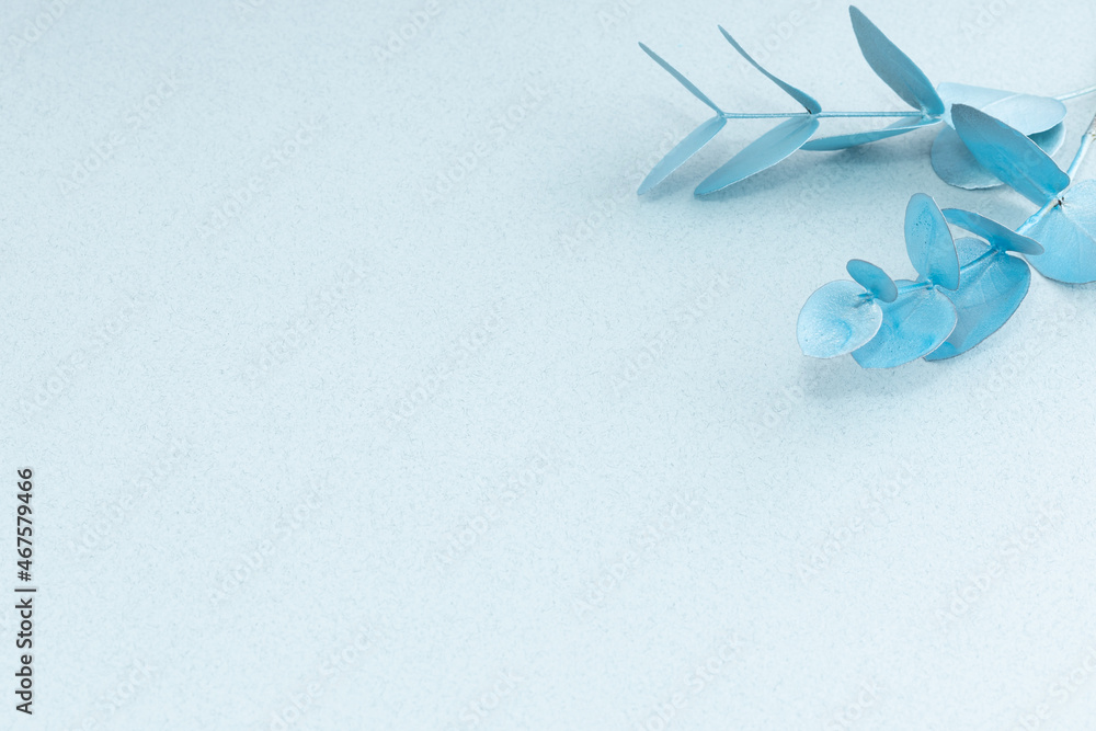Fototapeta premium Eucalyptus branch on pastel blue background.