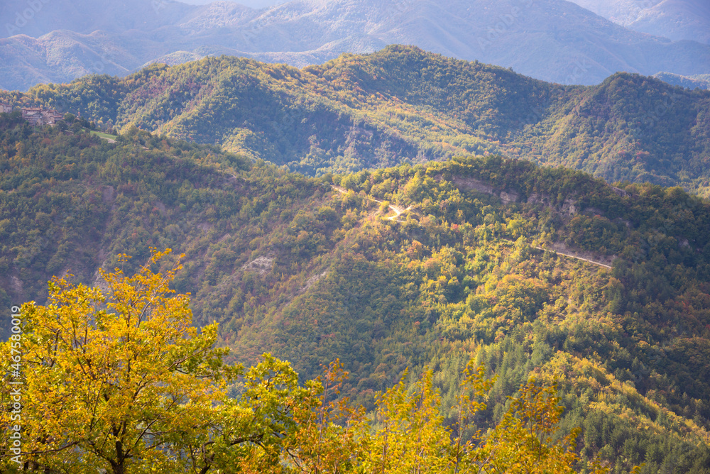 Mountains covered with colorful forest in autumn
