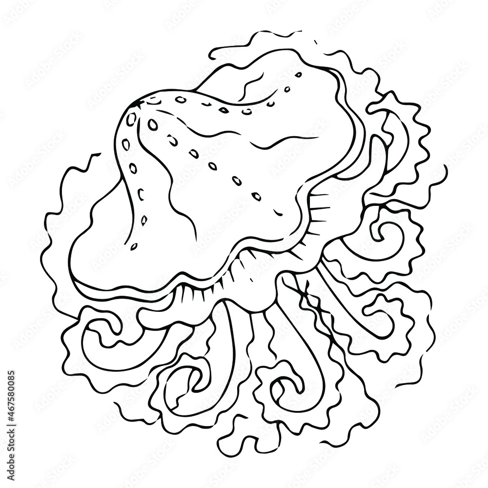 Collection of jellyfish on white background, cartoon vector illustration. Hand drawn jellyfish. Vector illustration. Sea collection. Collection of jellyfish on white background, cartoon vector illustration. Hand drawn jellyfish. Vector illustration. Sea collection.
