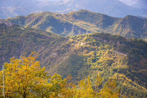 Mountains covered with colorful forest in autumn © Maresol