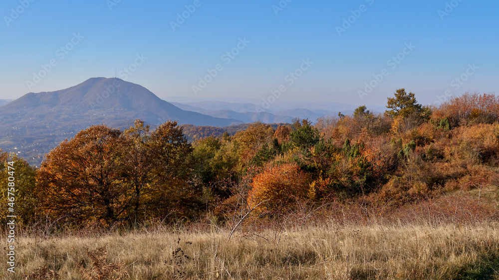 autumn landscape in the mountains