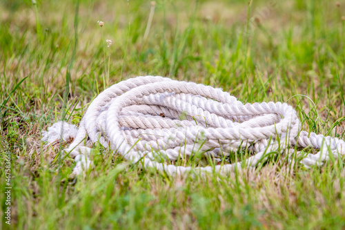 big white rope on a lawn