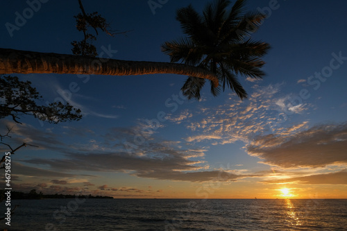 Un coucher de soleil sur la plage de Kribi avec un palmier
