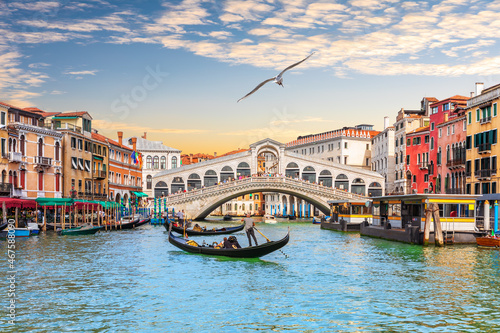 Seagull flies by the Rialto Bridge, a popular landmark of Venice, Italy © AlexAnton