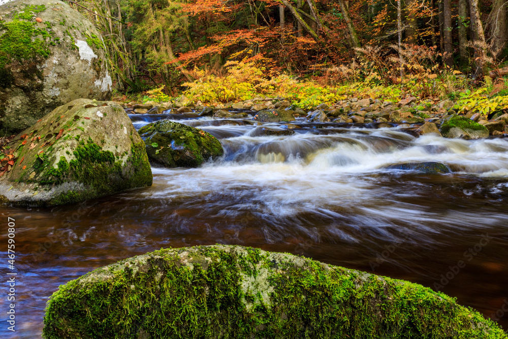 Obraz premium Herbststimmung an dem Fluss Alb im Schwarzwald, auf dem Wanderweg Albsteig, Baden-Württemberg, Deutschland